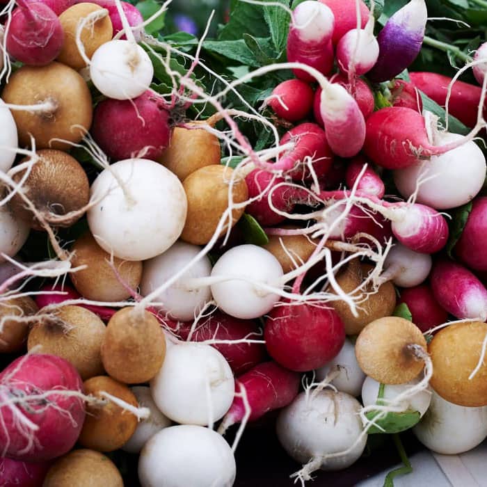colorful radishes from the farmtruck