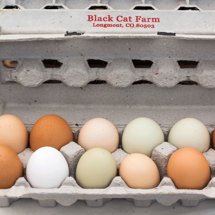 Black Cat Organic Farm Eggs